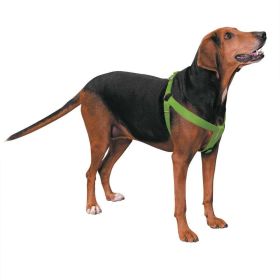 Casual Canine Nylon 2 Step Harness 9 to 15In Green